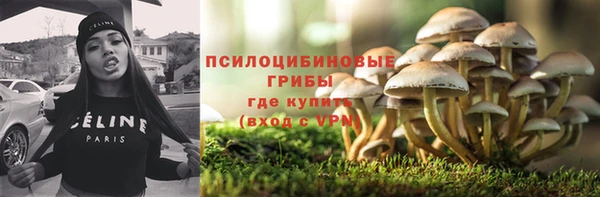 ГАЛЛЮЦИНОГЕННЫЕ ГРИБЫ Верхний Тагил