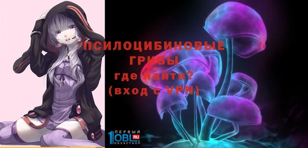 ГАЛЛЮЦИНОГЕННЫЕ ГРИБЫ Верхний Тагил
