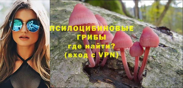 кокс Богородицк
